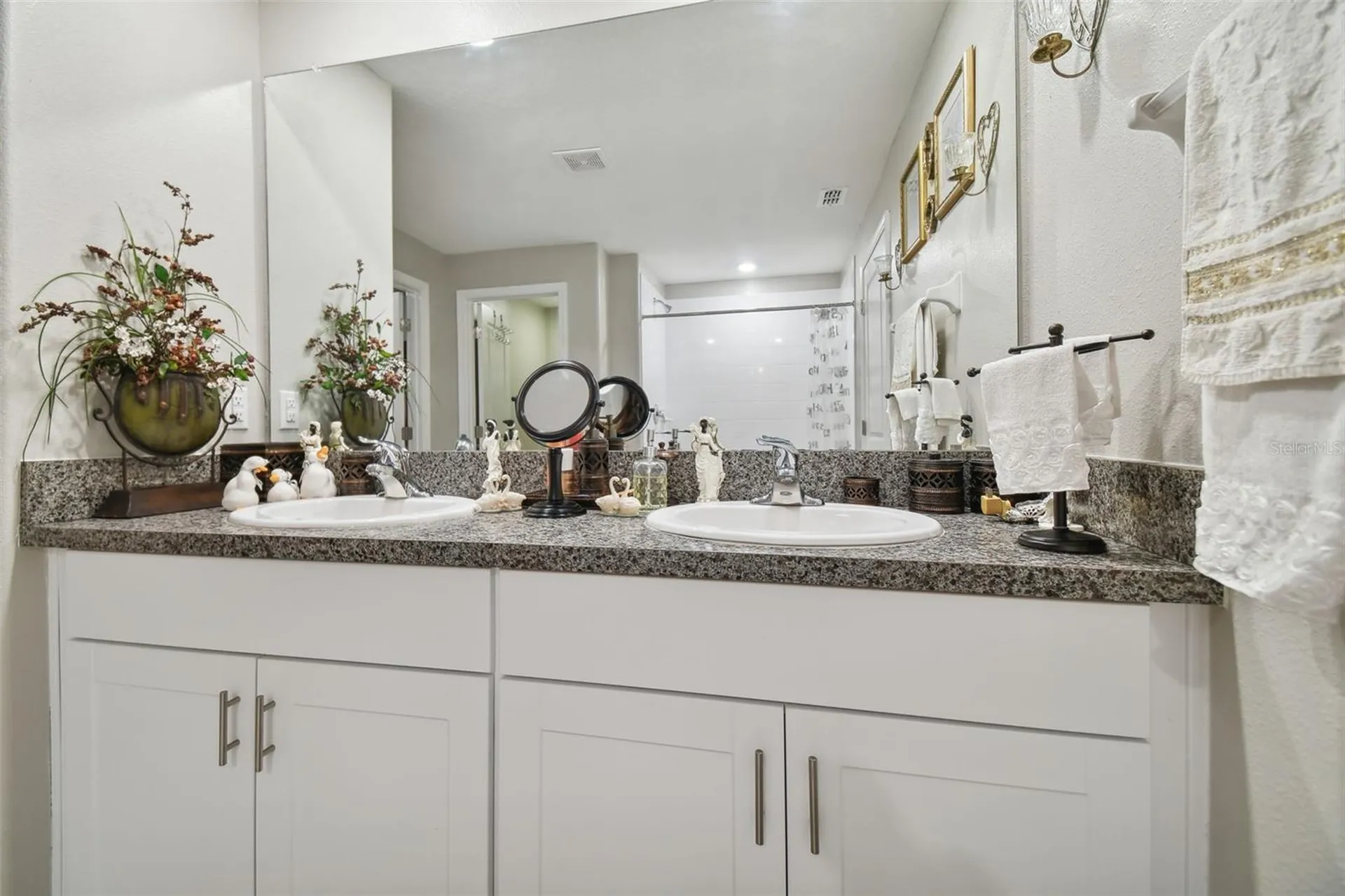 13603 Wild Ginger Street Riverview FL 33579