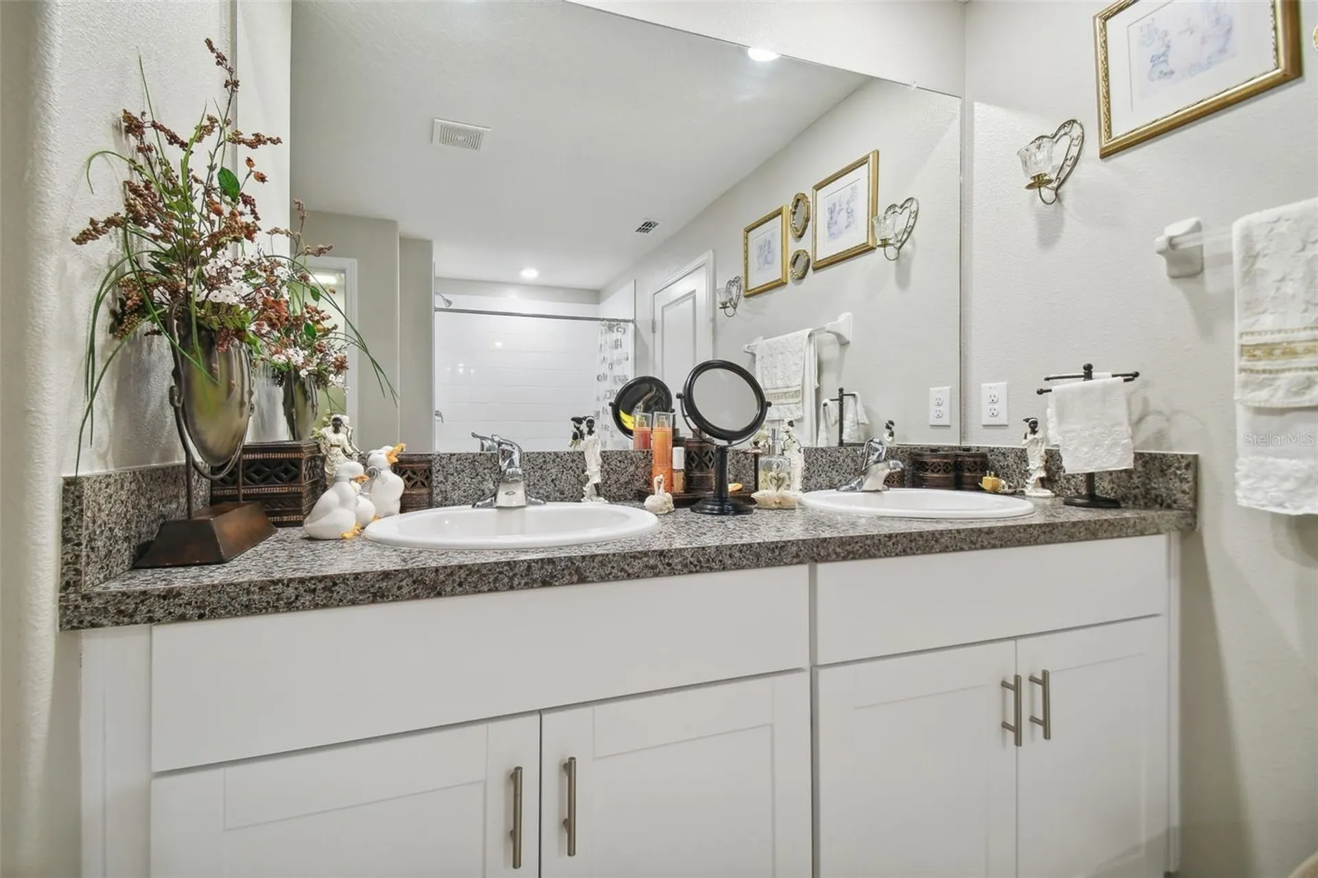 13603 Wild Ginger Street Riverview FL 33579