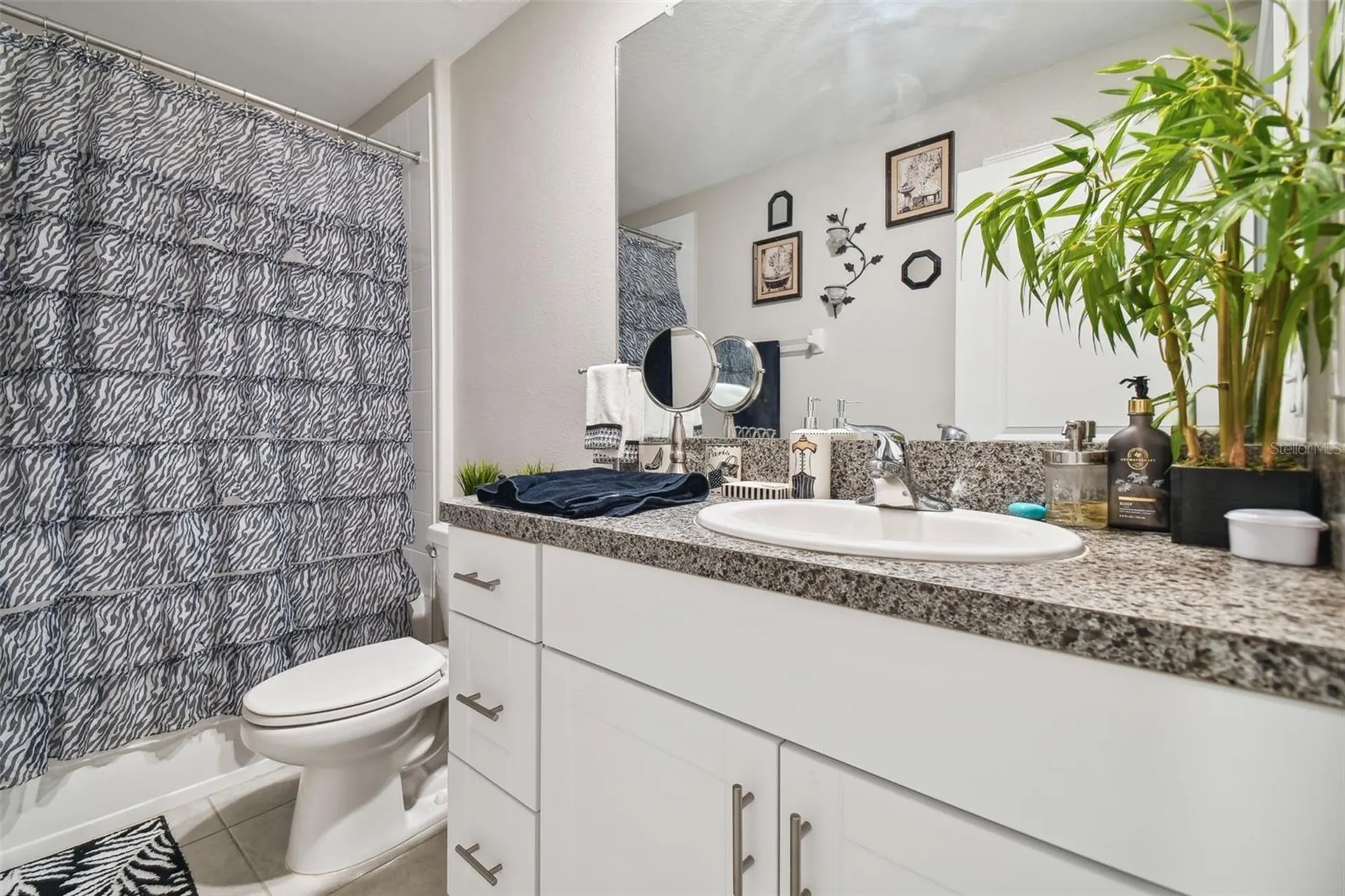 13603 Wild Ginger Street Riverview FL 33579