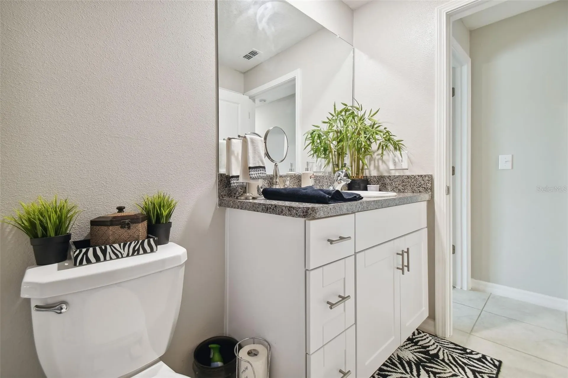 13603 Wild Ginger Street Riverview FL 33579