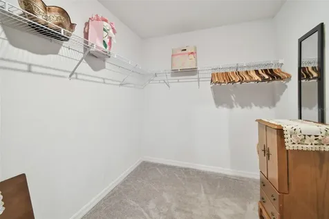 13603 Wild Ginger Street Riverview FL 33579