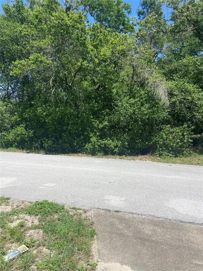 Bluffview Drive Spring Hill FL 34609