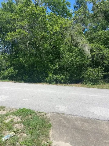 Bluffview Drive Spring Hill FL 34609