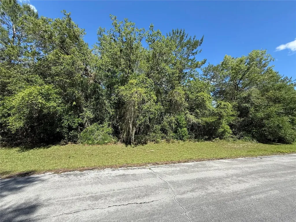 SW 88th Avenue Ocala FL 34473