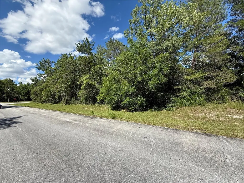 SW 88th Avenue Ocala FL 34473