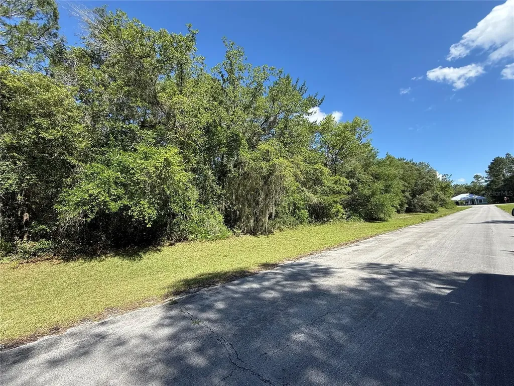 SW 88th Avenue Ocala FL 34473
