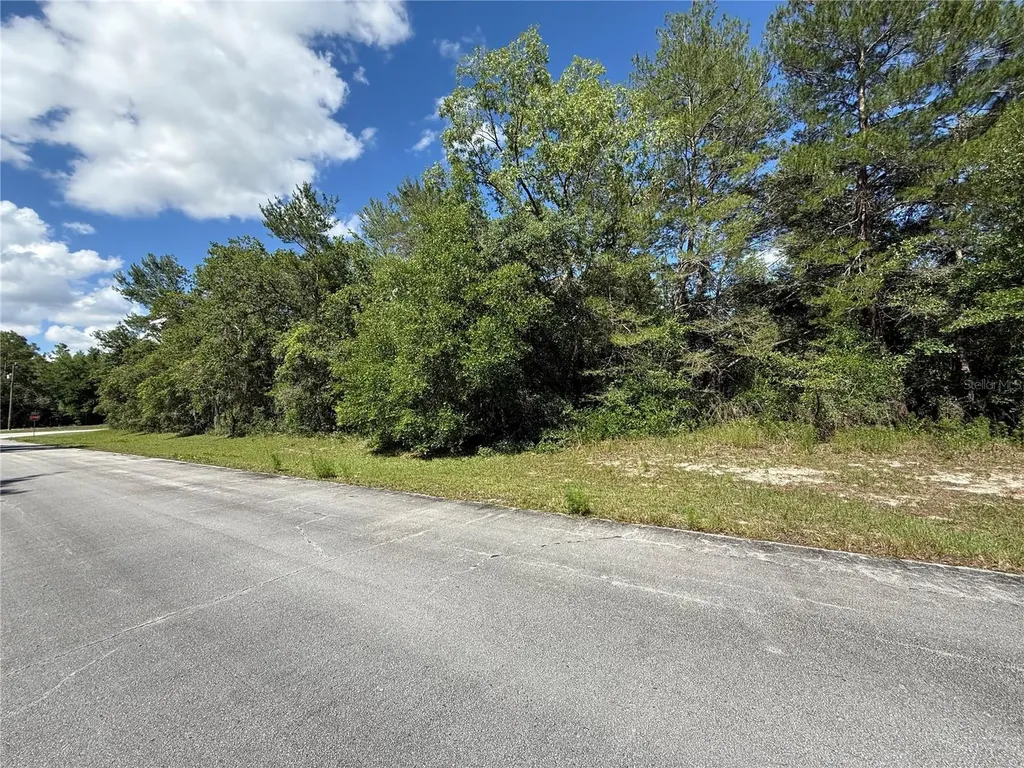 SW 88th Avenue Ocala FL 34473