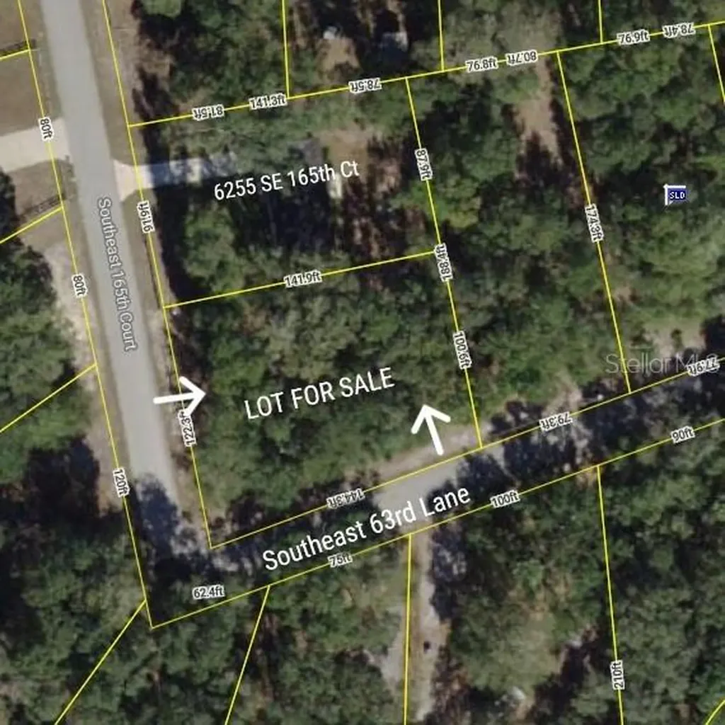 Tbd SE 165th Court Ocklawaha FL 32179