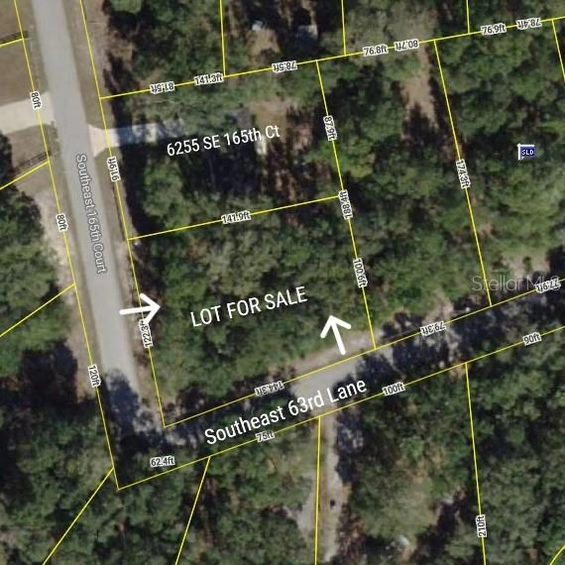 Tbd SE 165th Court Ocklawaha FL 32179