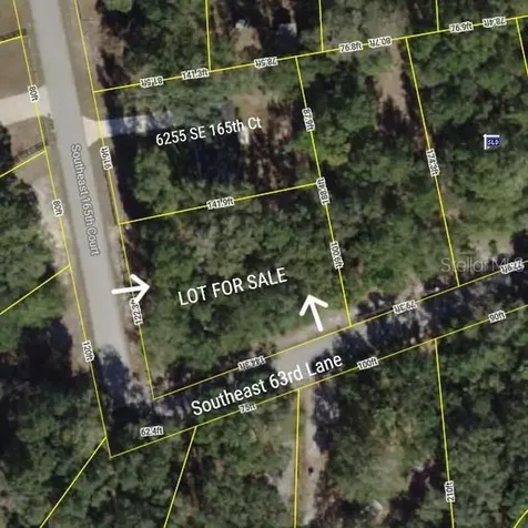 Tbd SE 165th Court Ocklawaha FL 32179