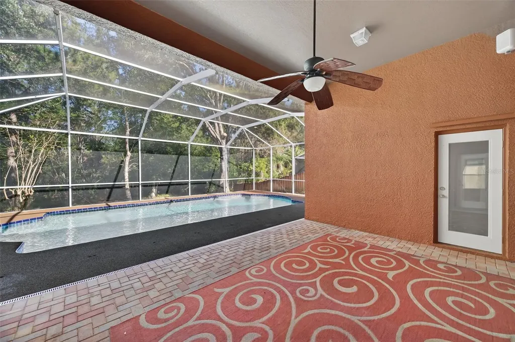 19156 Dove Creek Drive Tampa FL 33647