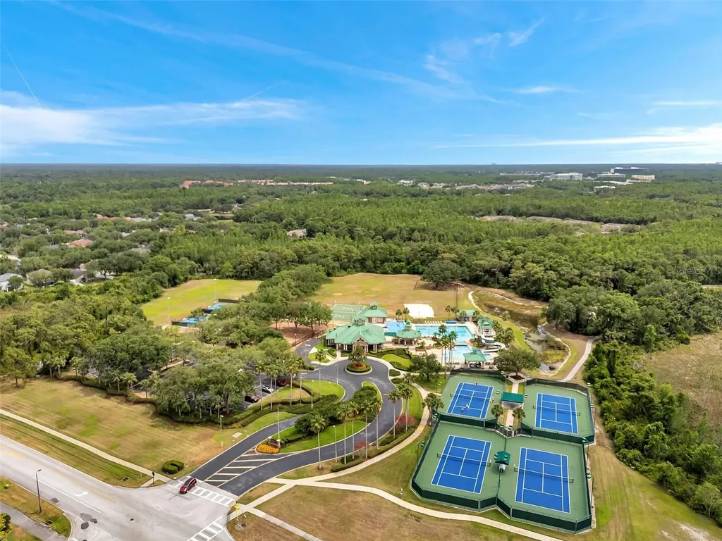 19156 Dove Creek Drive Tampa FL 33647