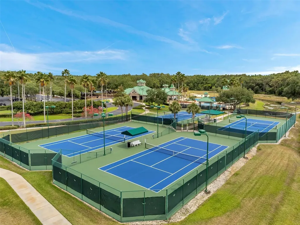 19156 Dove Creek Drive Tampa FL 33647