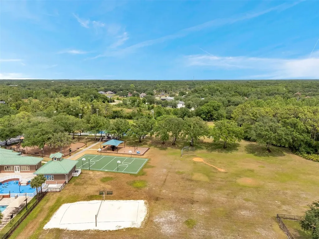 19156 Dove Creek Drive Tampa FL 33647
