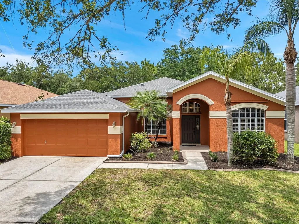 19156 Dove Creek Drive Tampa FL 33647