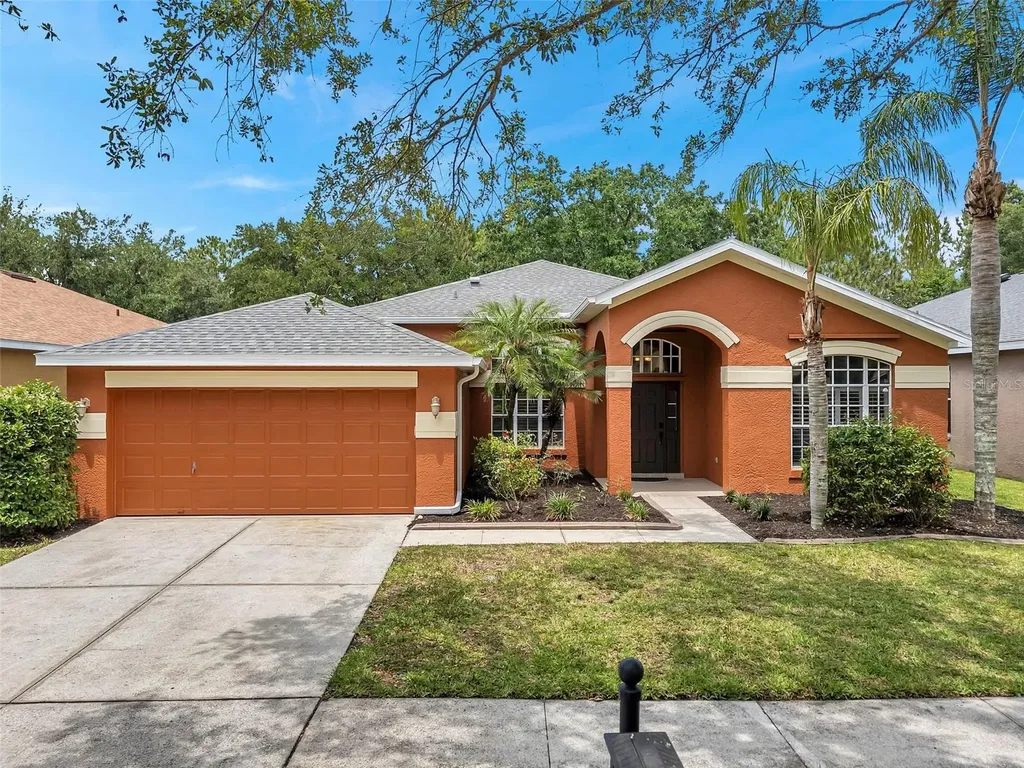 19156 Dove Creek Drive Tampa FL 33647