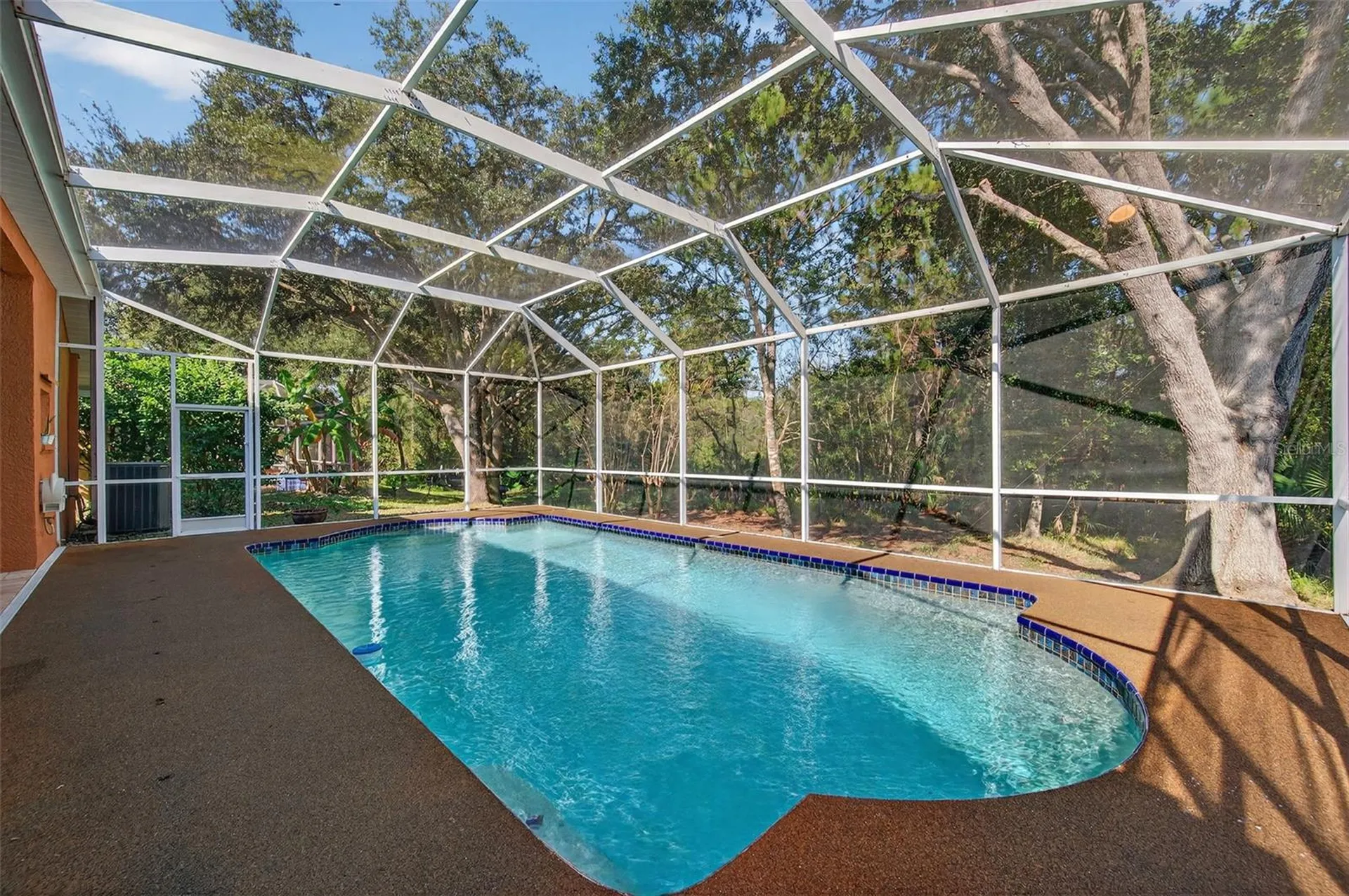 19156 Dove Creek Drive Tampa FL 33647