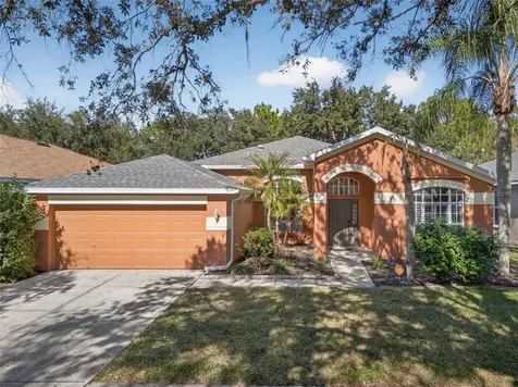 19156 Dove Creek Drive Tampa FL 33647