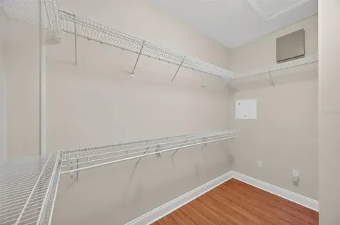 19156 Dove Creek Drive Tampa FL 33647
