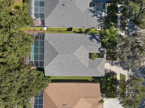 19156 Dove Creek Drive Tampa FL 33647