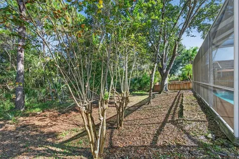 19156 Dove Creek Drive Tampa FL 33647