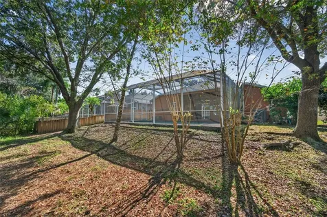 19156 Dove Creek Drive Tampa FL 33647