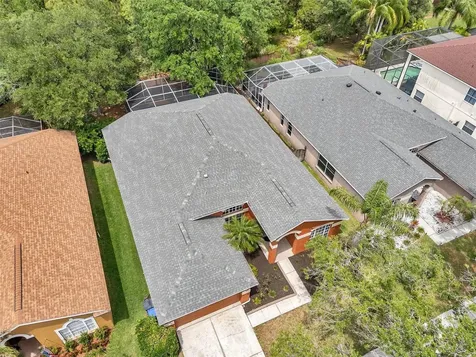 19156 Dove Creek Drive Tampa FL 33647