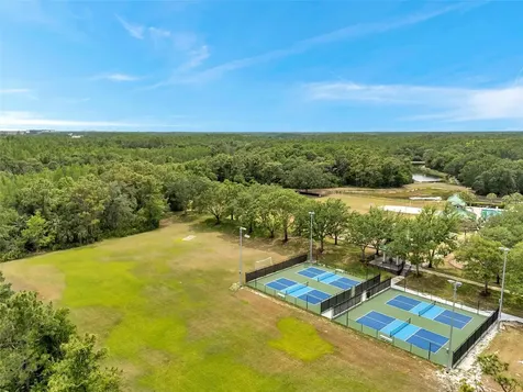 19156 Dove Creek Drive Tampa FL 33647