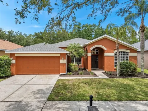 19156 Dove Creek Drive Tampa FL 33647