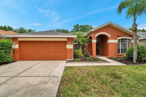 19156 Dove Creek Drive Tampa FL 33647