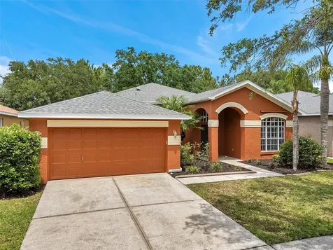 19156 Dove Creek Drive Tampa FL 33647