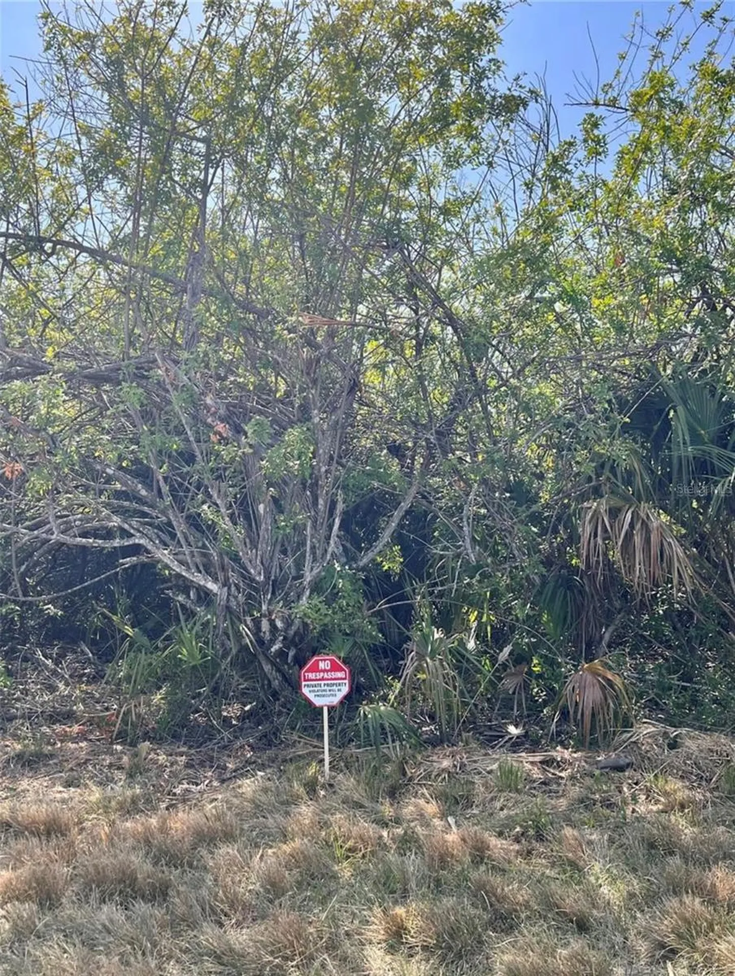 371 Lawler Street Port Charlotte FL 33954