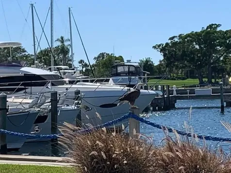 2600 Harbourside Drive Longboat Key FL 34228