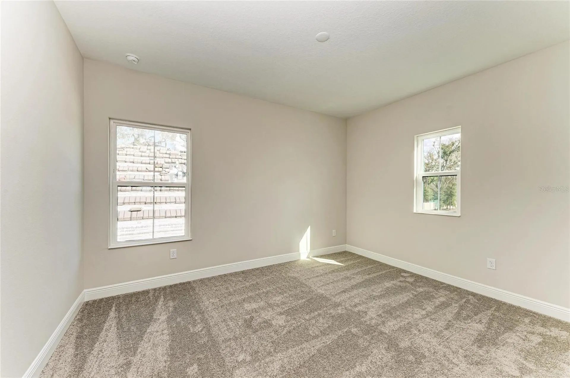 4630 Cedar Fog Ct Drive Valrico FL 33596