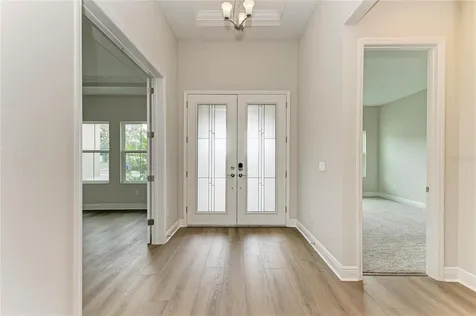 4630 Cedar Fog Ct Drive Valrico FL 33596