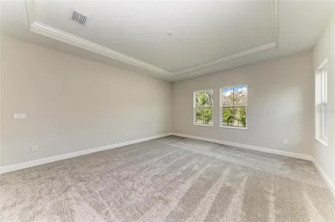 4630 Cedar Fog Ct Drive Valrico FL 33596