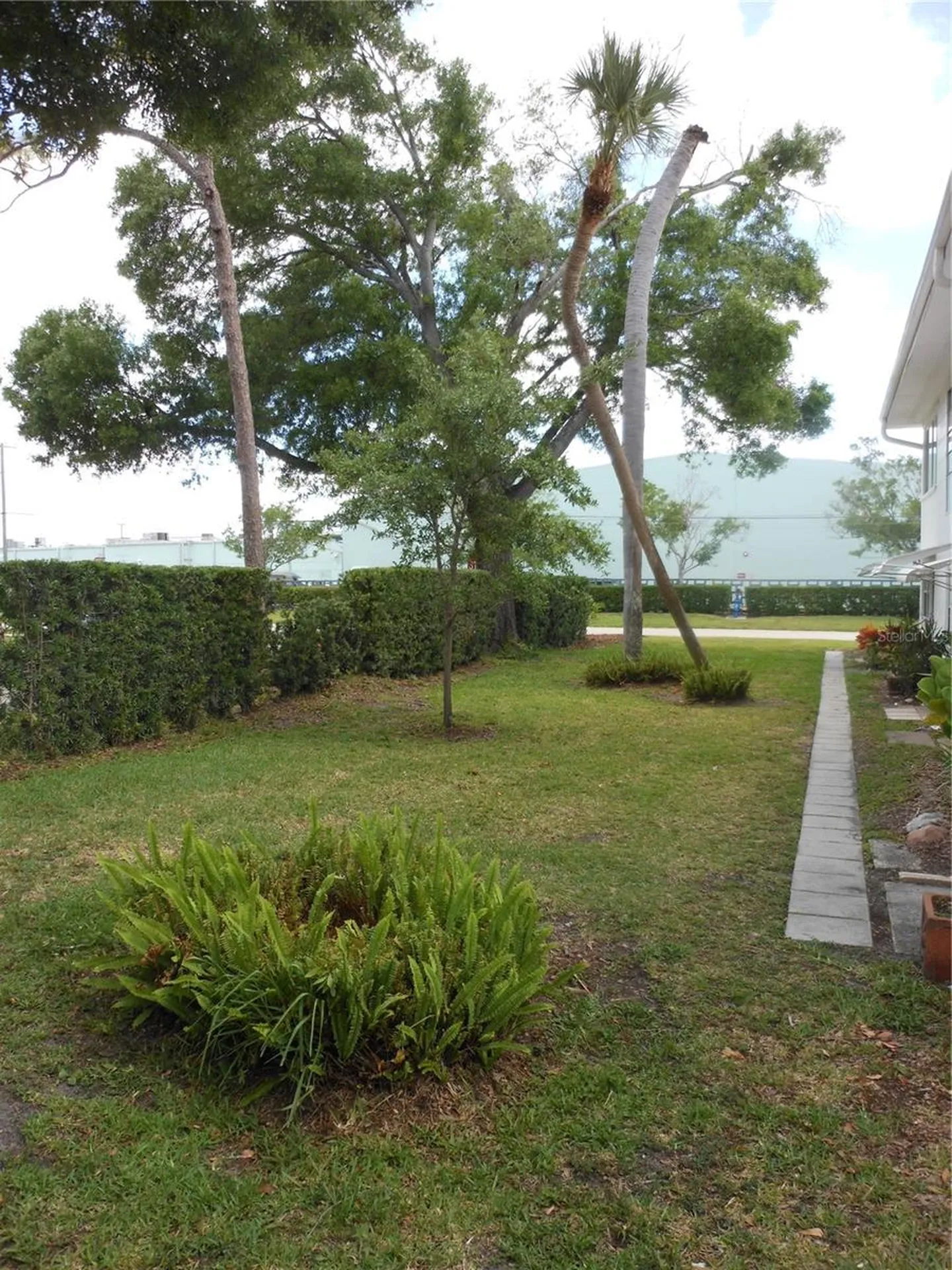 138 36th Avenue N St Petersburg FL 33704