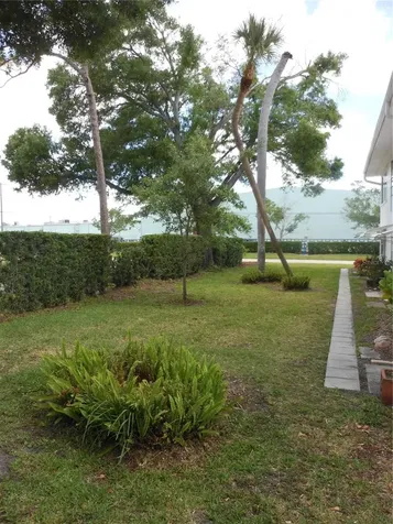 138 36th Avenue N St Petersburg FL 33704