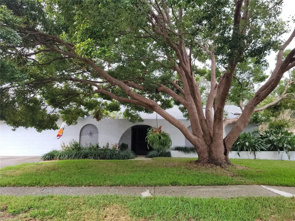 3200 Sandy Ridge Drive Clearwater FL 33761
