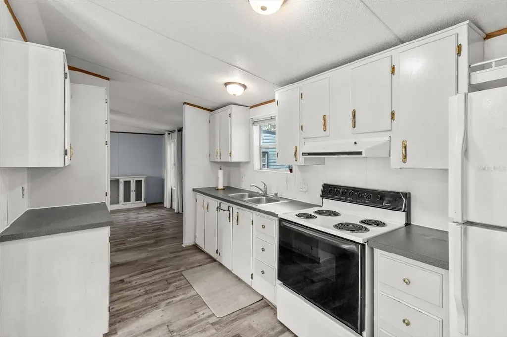 8431 S Lake Consuella Drive Floral City FL 34436