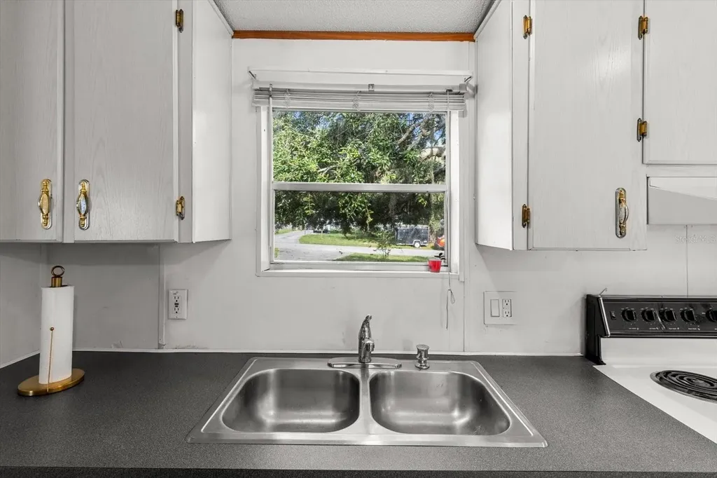 8431 S Lake Consuella Drive Floral City FL 34436