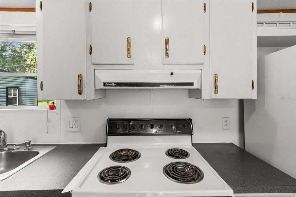 8431 S Lake Consuella Drive Floral City FL 34436