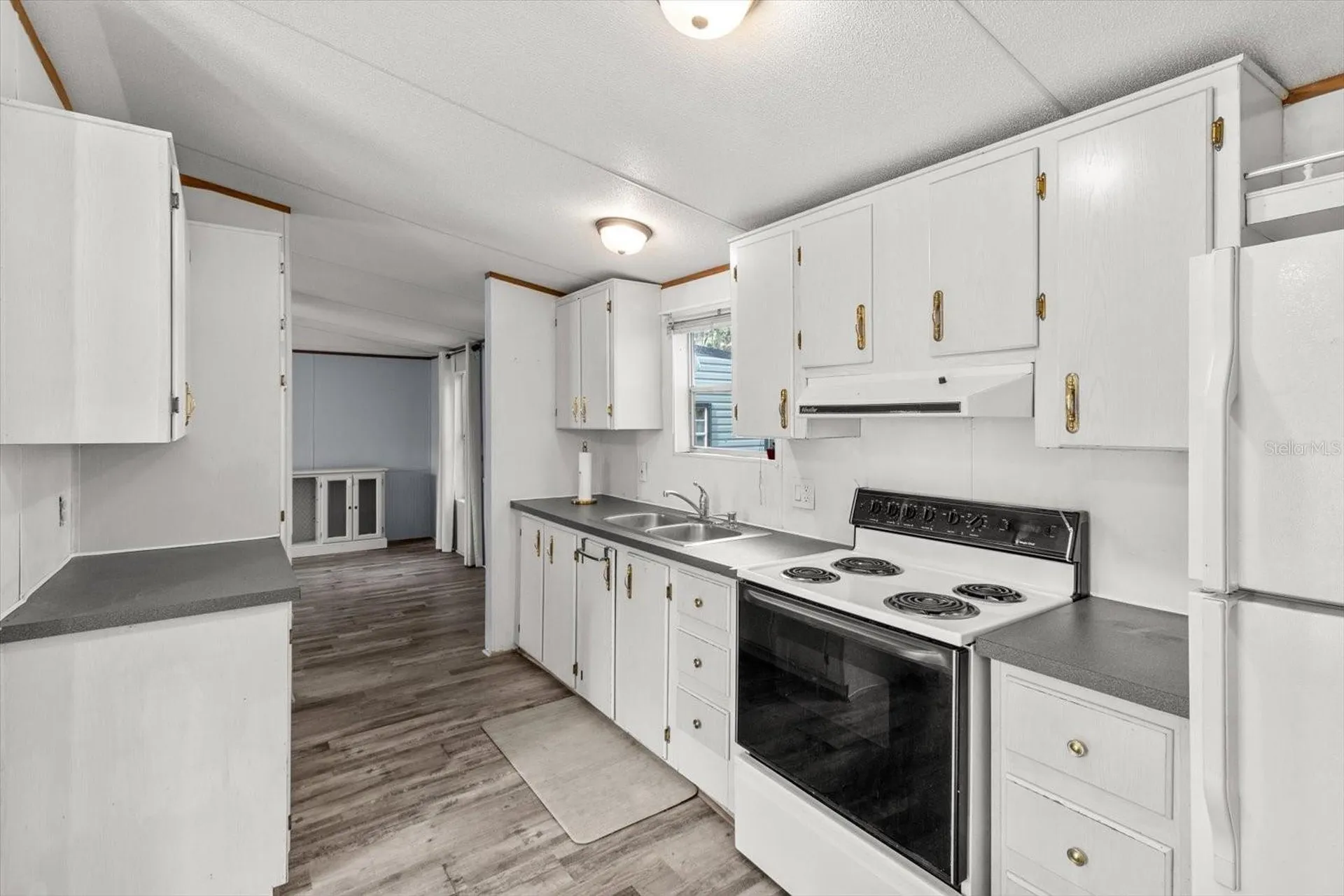 8431 S Lake Consuella Drive Floral City FL 34436