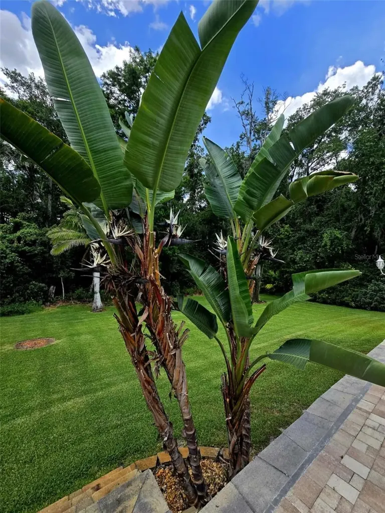 10305 Worthy Lamb Way New Port Richey FL 34654