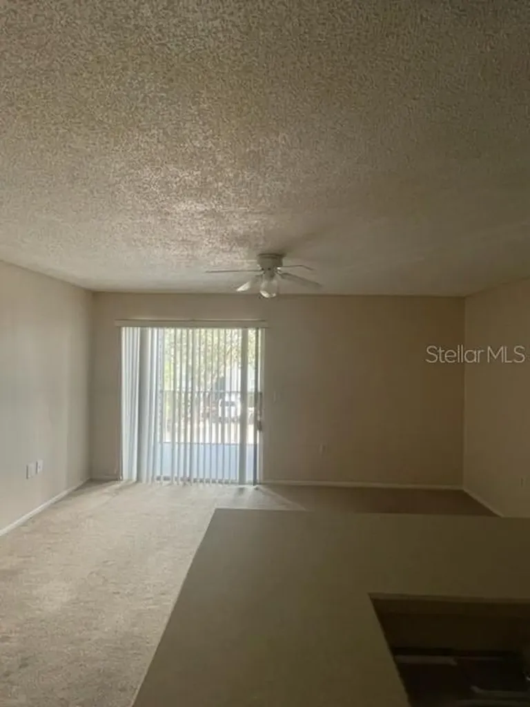 1221 Bermuda Lakes Lane Kissimmee FL 34741