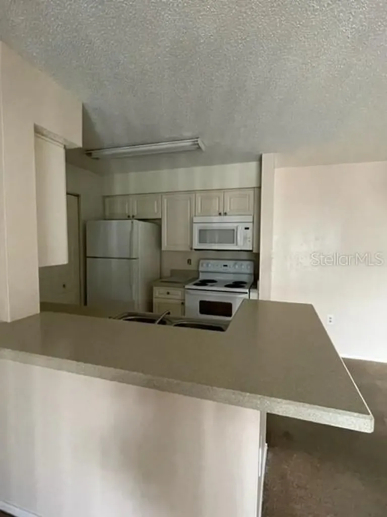 1221 Bermuda Lakes Lane Kissimmee FL 34741