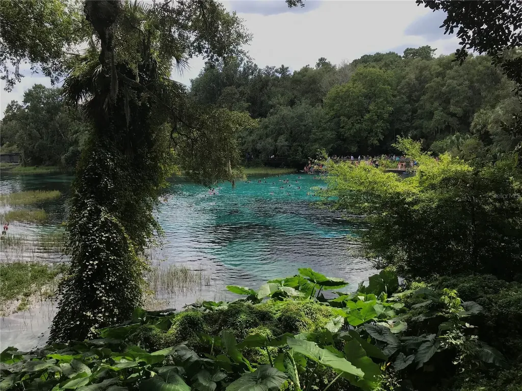 2826 NE 104th Avenue Silver Springs FL 34488