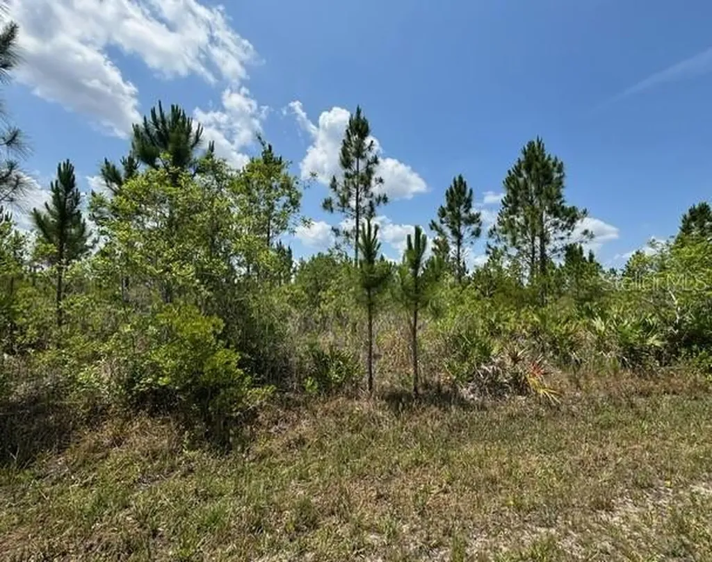 1015 Calliandra Drive Indian Lake Estates FL 33855