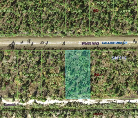 1015 Calliandra Drive Indian Lake Estates FL 33855