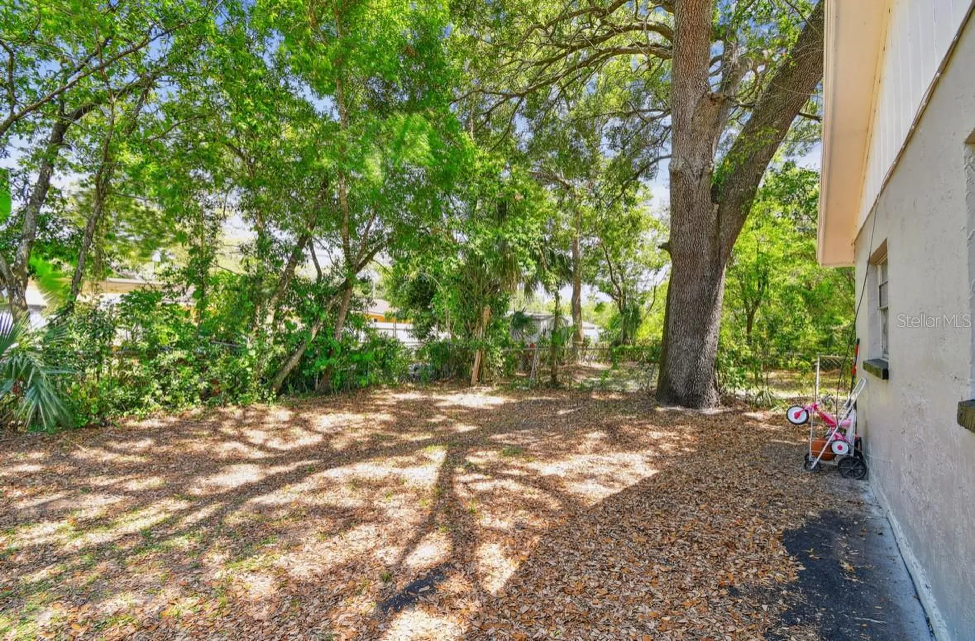 10007 N 10th Street Tampa FL 33612